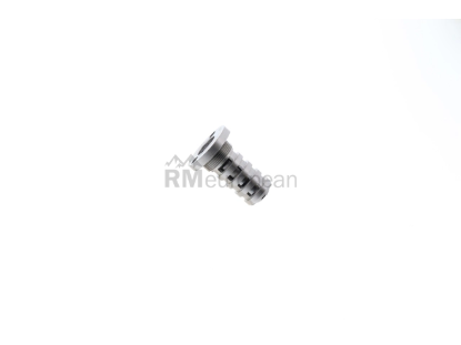 VW-Audi Camshaft Adjuster INA 06H109257C