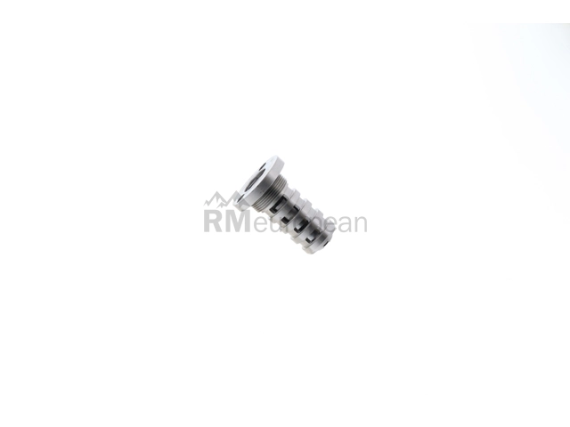 VW-Audi Camshaft Adjuster INA 06H109257C